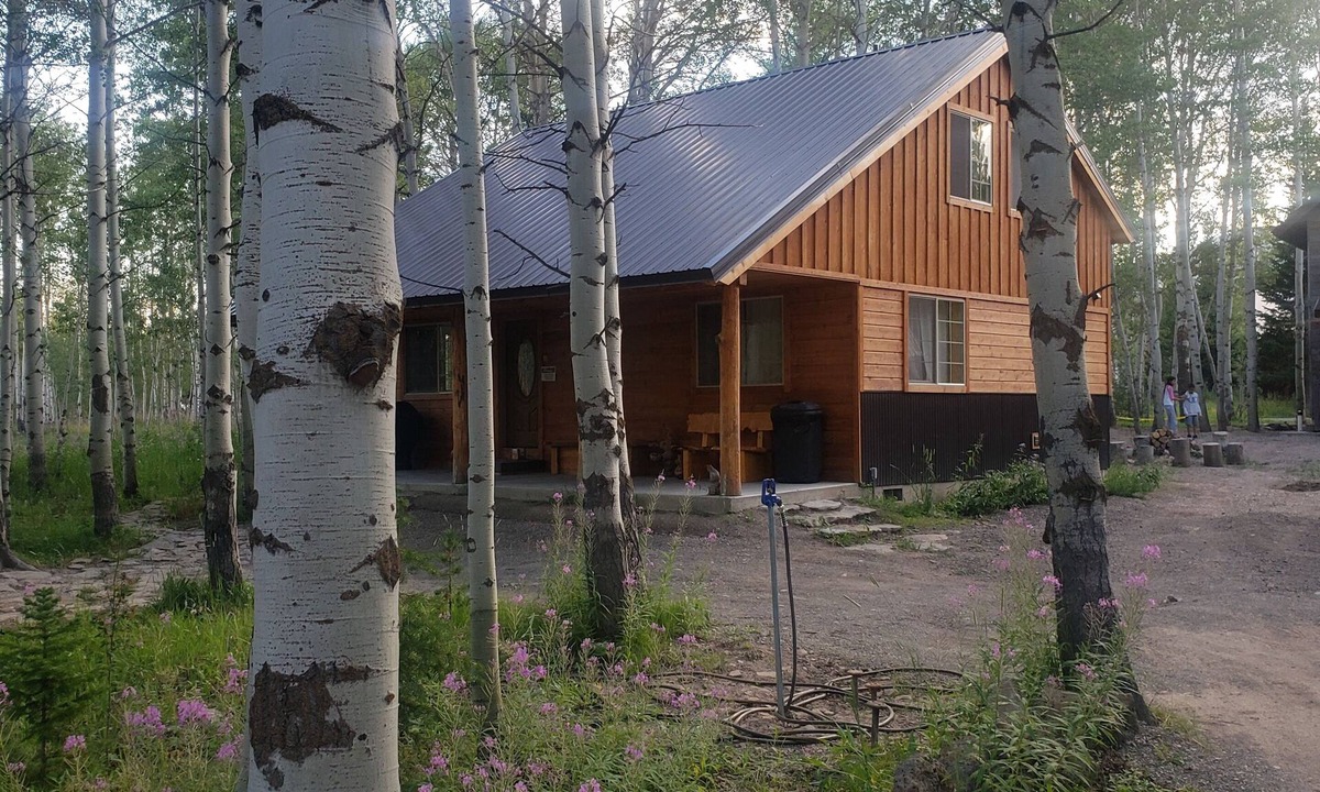 Island Park Cabin | 15 min to Yellowstone. Newly built in 2018 this cabin is meticulous . WIFI ÷ AC