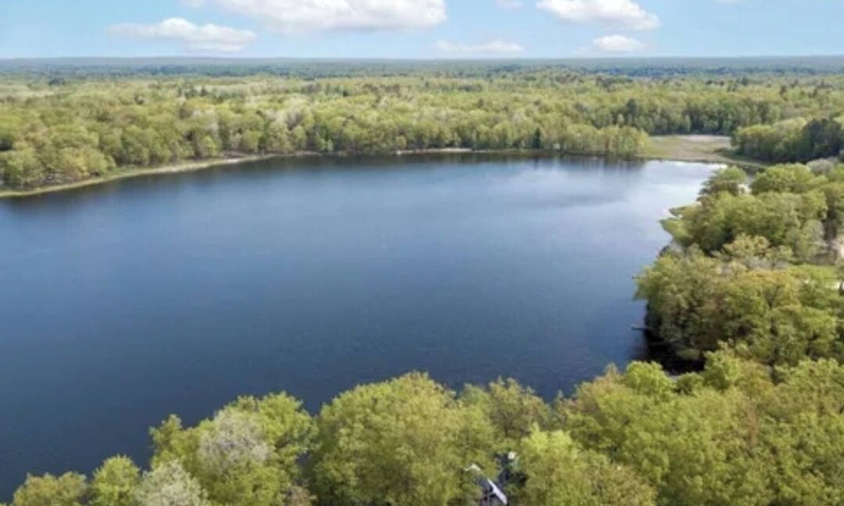 Lupton Cottage | 4 bedroom, 3 ful bath Lakefront cottage Pet friendly