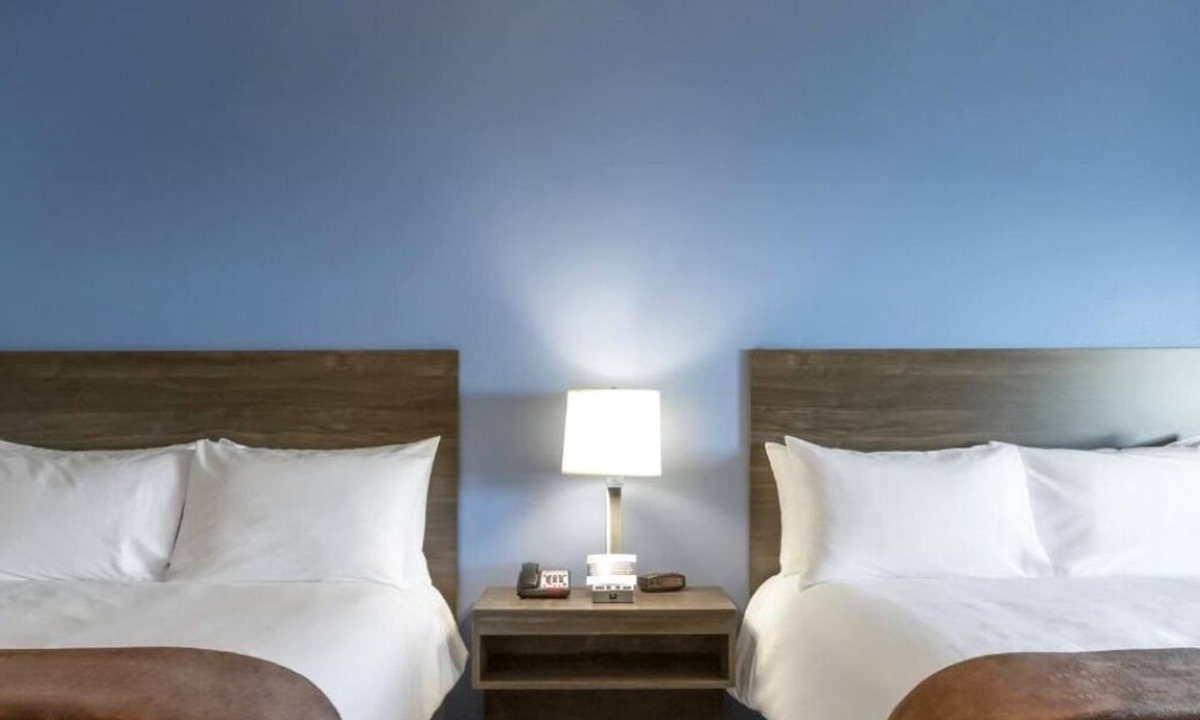 Plainfield Hotel | Affordable Accommodation Near Sodalis Park, Pet-Friendly Too!