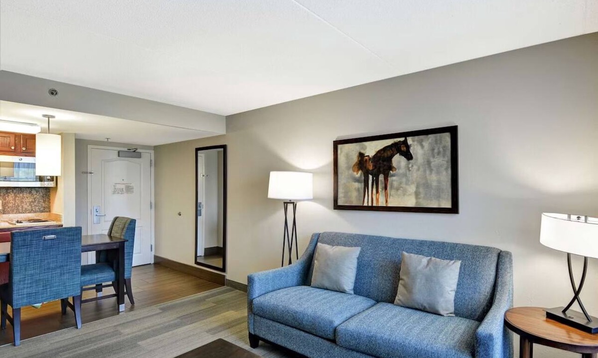 Lexington Hotel | An Accommodation for Family or Fur Parents | Free Breakfast & On-Site Parking