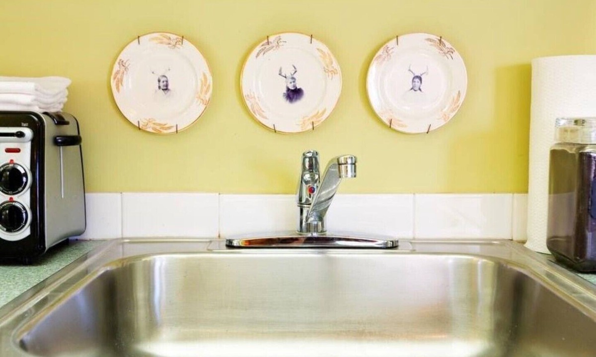 North End Hotel | Animal Trophy Suite 🏡 Boise Guest House