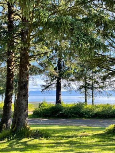Sekiu House | Beach Cabin Pet-Friendly near Forks & Sekiu