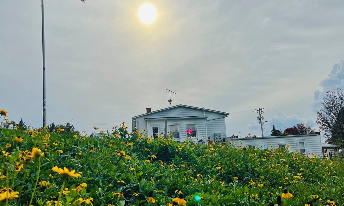 Sherrill House | Breathtaking view and pet-friendly. Charming 3-bedroom house