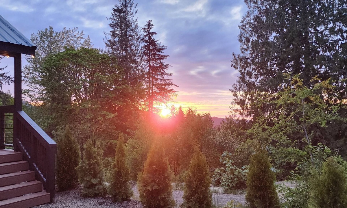 Port Angeles Cottage | Cabin in the woods. Water and mountain views W/firepit. Close to National Park