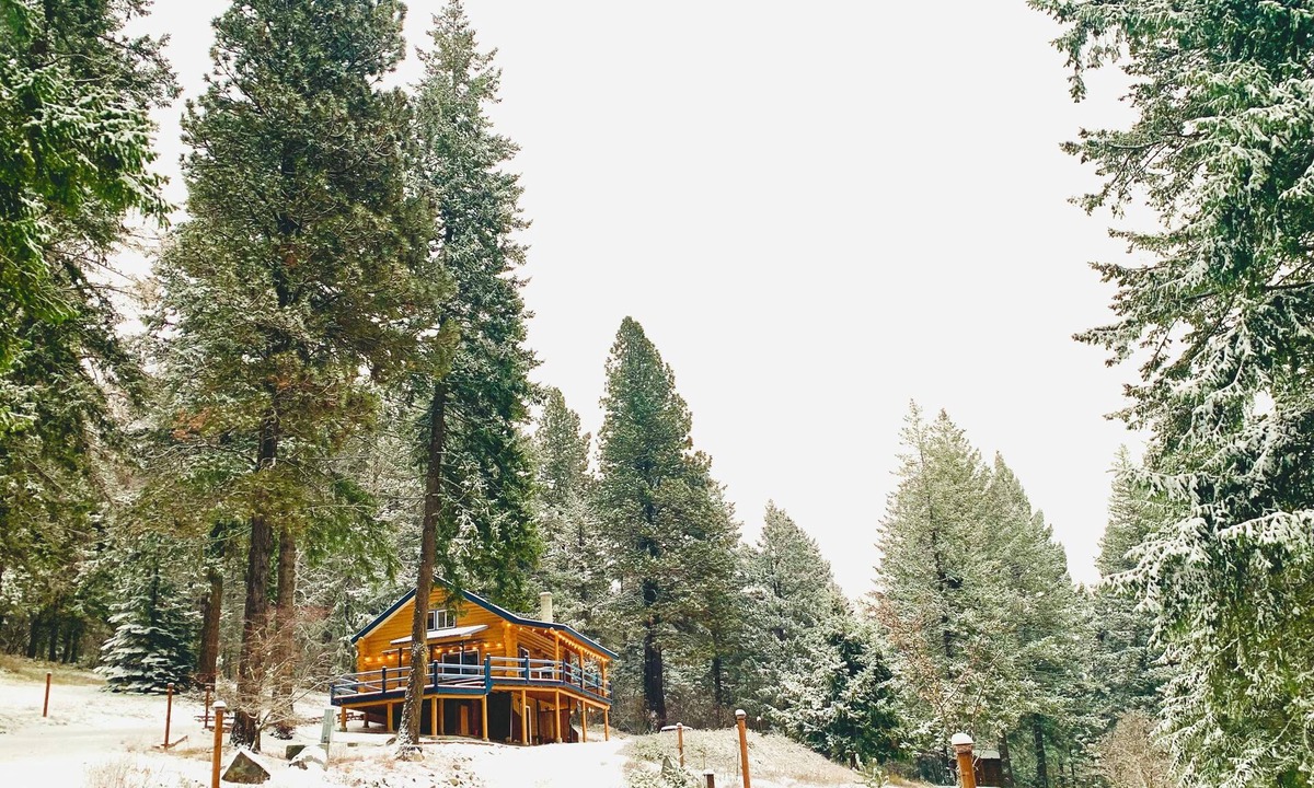 Sagle Cabin | Cabin in the woods, with lake view
