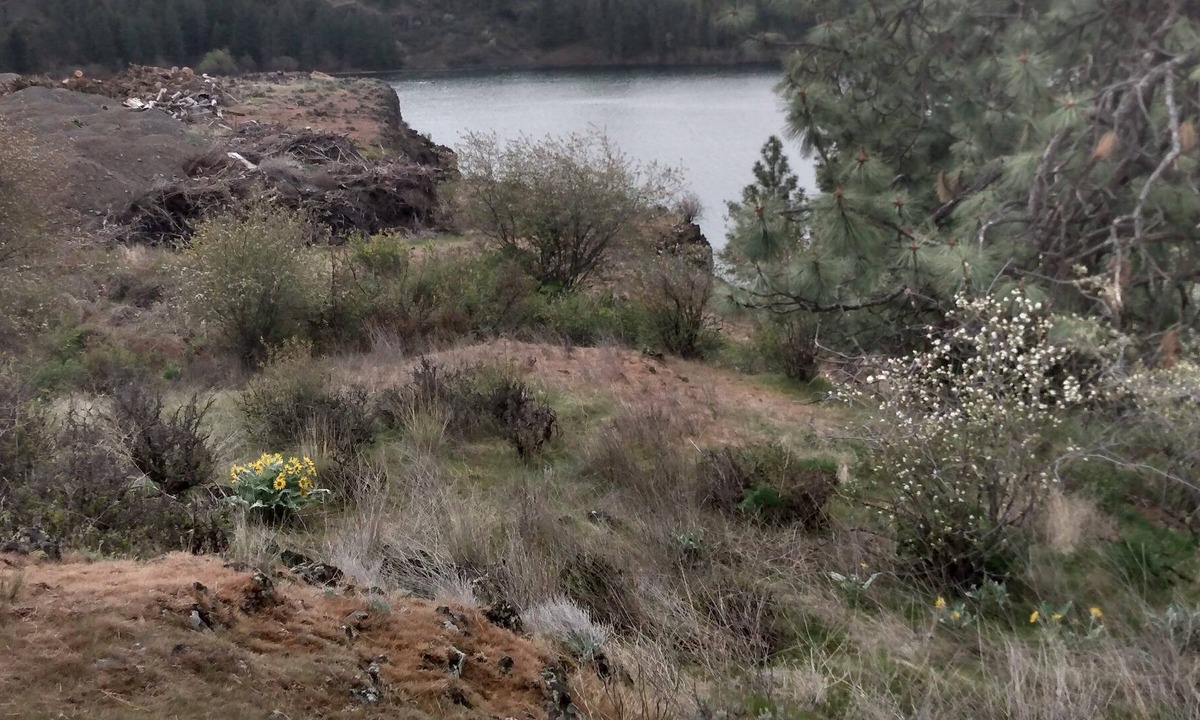 Cheney RV Rental | Camping at Williams Lake
