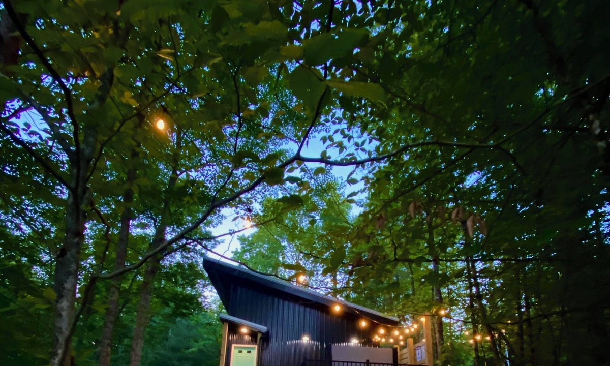 Rogers House | Canopy Alchemy | 2 Private RRG Cabins | 2 Hot Tubs | Epic Views