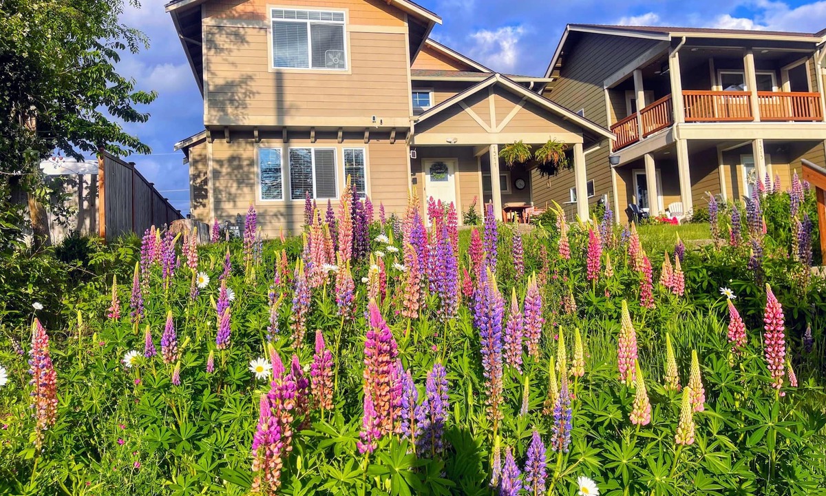 Central Tacoma Bed & Breakfast | Central Tacoma Homestay -private room-