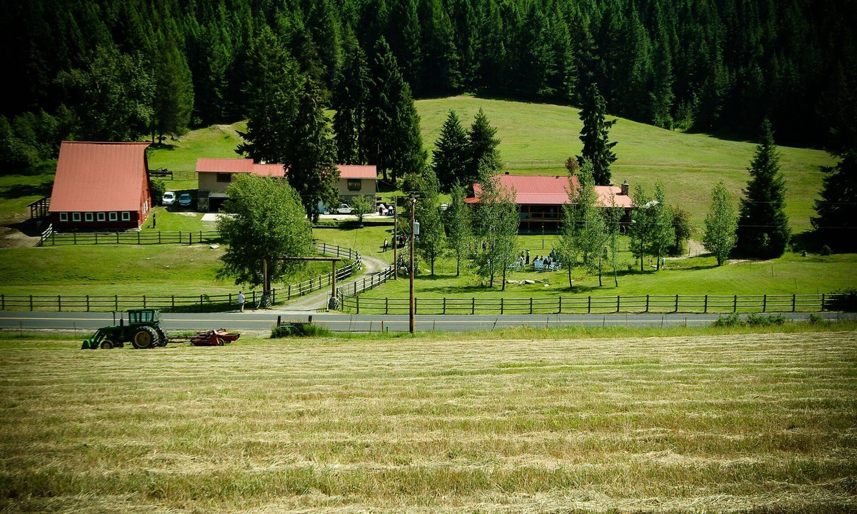 Newport House | Charming country accommodations at Brookside Acres/horse and rider accommodation