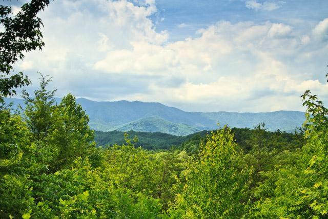 Cosby House | Country Bear Hideaway