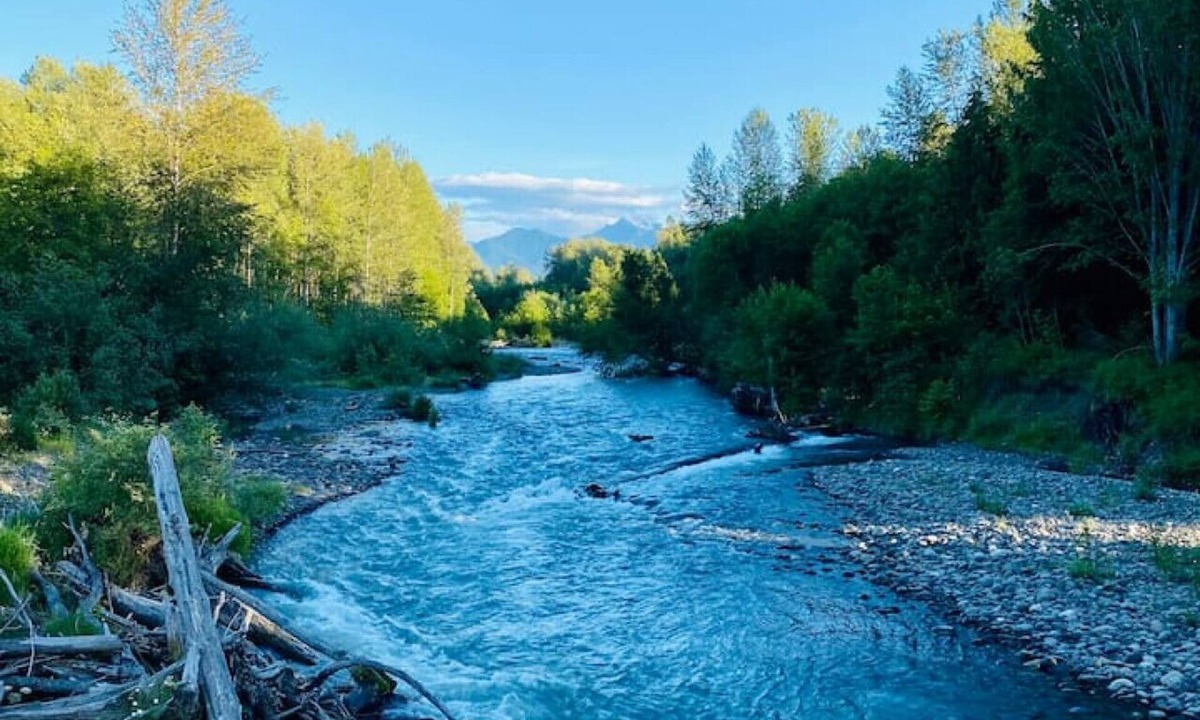 Sequim House | Cozy cottage near Olympic National Park, hiking trails & Dungeness River