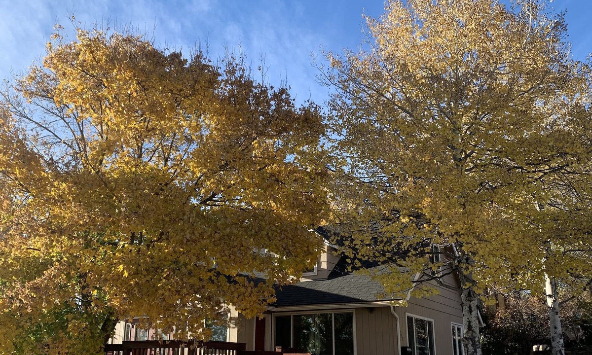 Altamont House | Cozy, peaceful getaway - less than 5 min from downtown Klamath