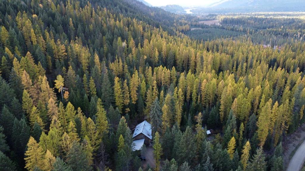 Clark Fork House | Cute Tiny House in the Woods for a Peaceful Getaway in Nature near Clark Fork, Idaho