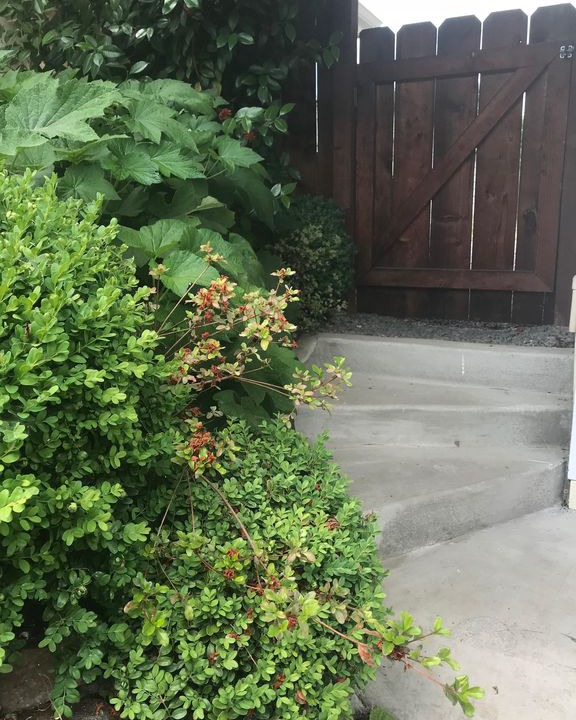 Historic Railroad District House | Elegant, historic cottage 1 1/2 blocks to downtown; 6 blocks to OSF.