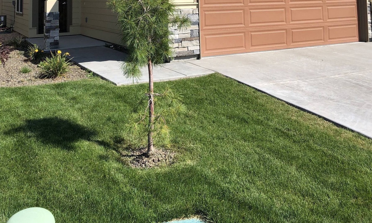 Southwest Ada County Alliance House | Extended Stay House!