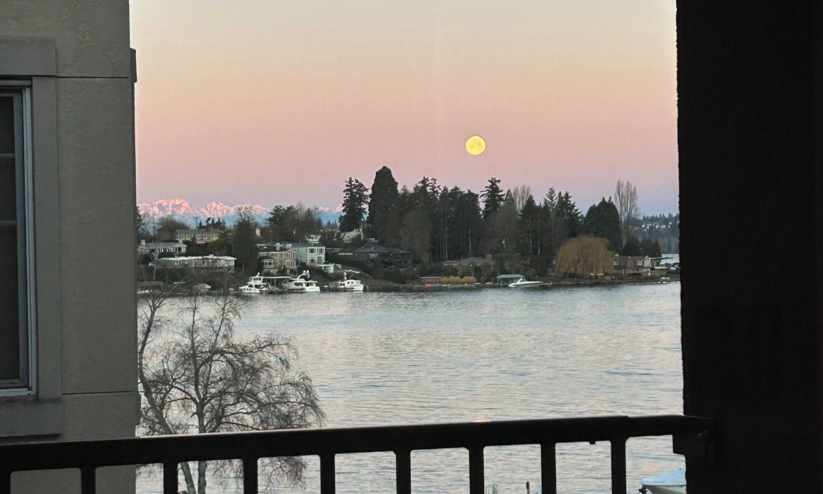 Lakeview Apartment | Gorgeous HUGE Lakefront 2 bedroom Apartment!