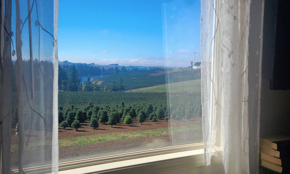 Silverton House | Guest House at Buena Vista Lavender Farm