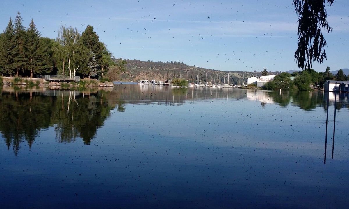 Downtown Klamath Falls House | Lake House retreat kayaking,boating, bird watching