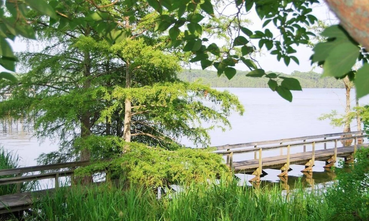 Ferriday Cottage | Lake St John Tranquil Escape