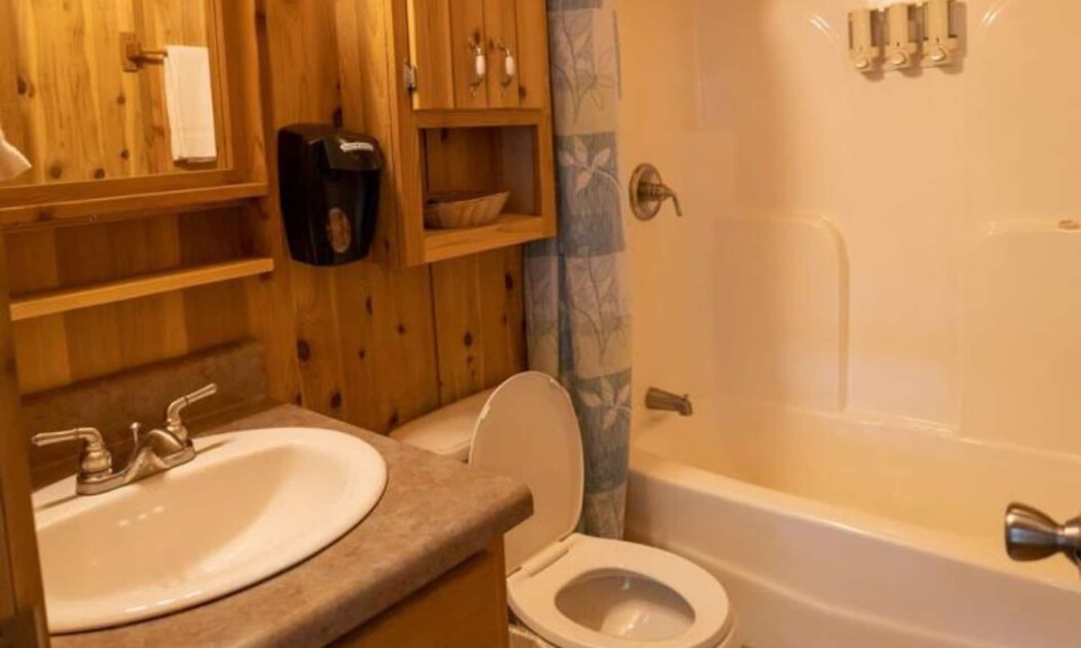 Cadiz Ski Chalet | Lakefront Cozy Chalet 2 - Bring the Dog