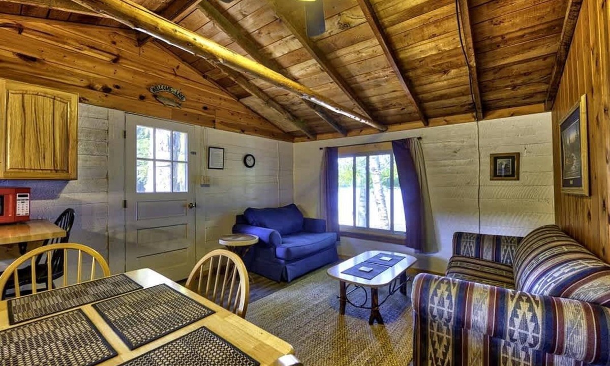 Levering Cabin | Lakefront Pet-Friendly Cabin w/Fire Pit