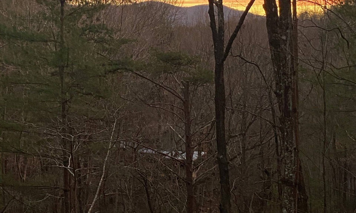 Blue Ridge Cabin | " Lazy Bears Cabin" Located in Cherry Log Highly Rated overall by Guest