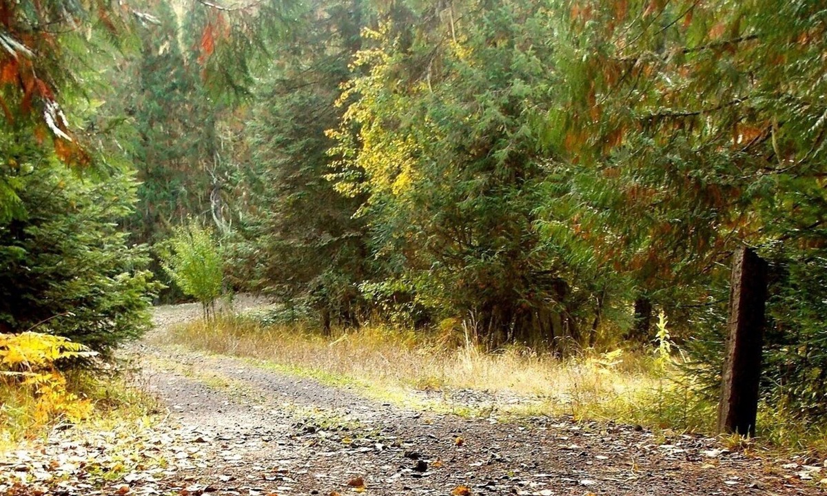 Idaho County House | Lifewater Ranch - A Place Of Rest And Healing. Fishing, Hiking, Spa, Pool