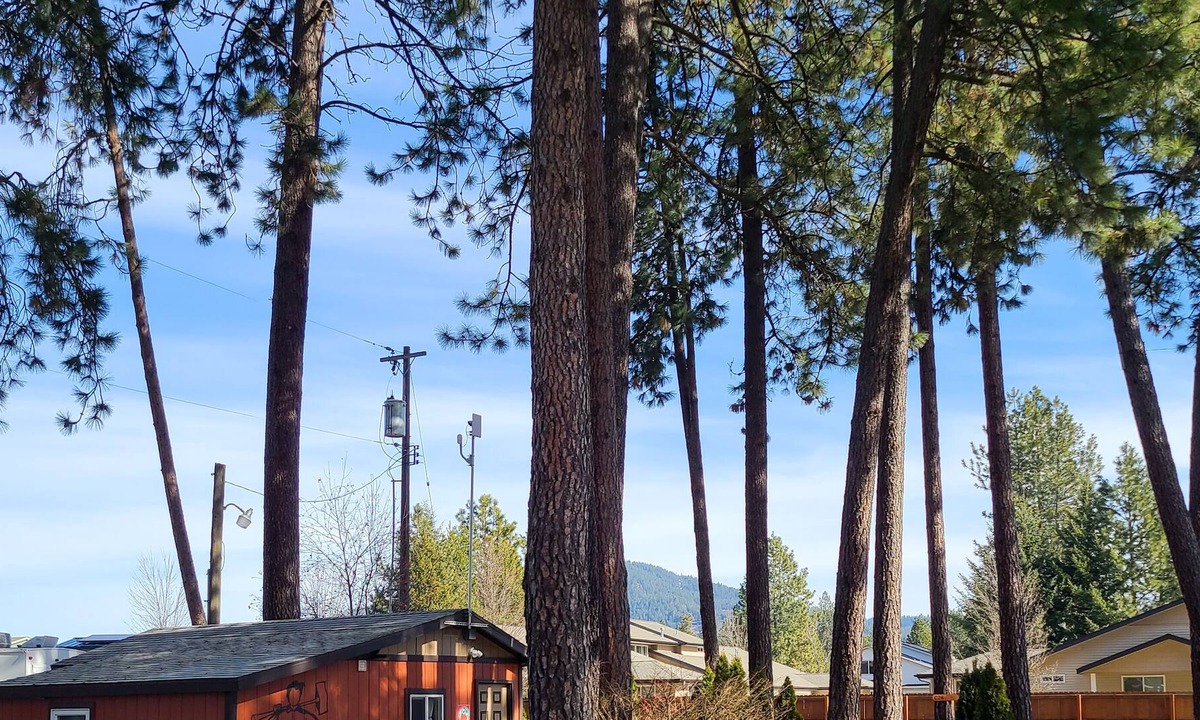 Coeur d'Alene Cabin | Lumberjack Bunkhouse...in the Heart of Coeur d'Alene, Idaho. Sleeps 8.