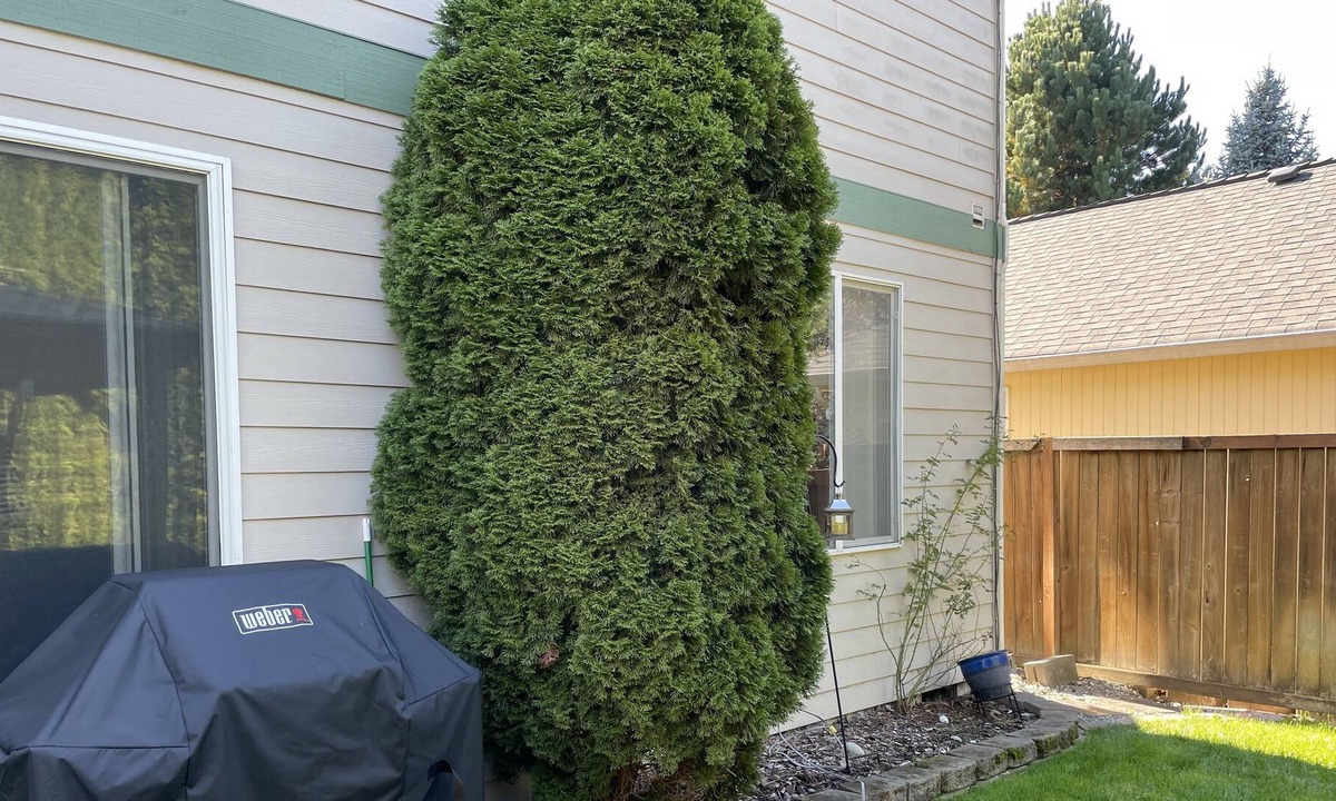 South Hill House | Modern Home in Puyallup WA