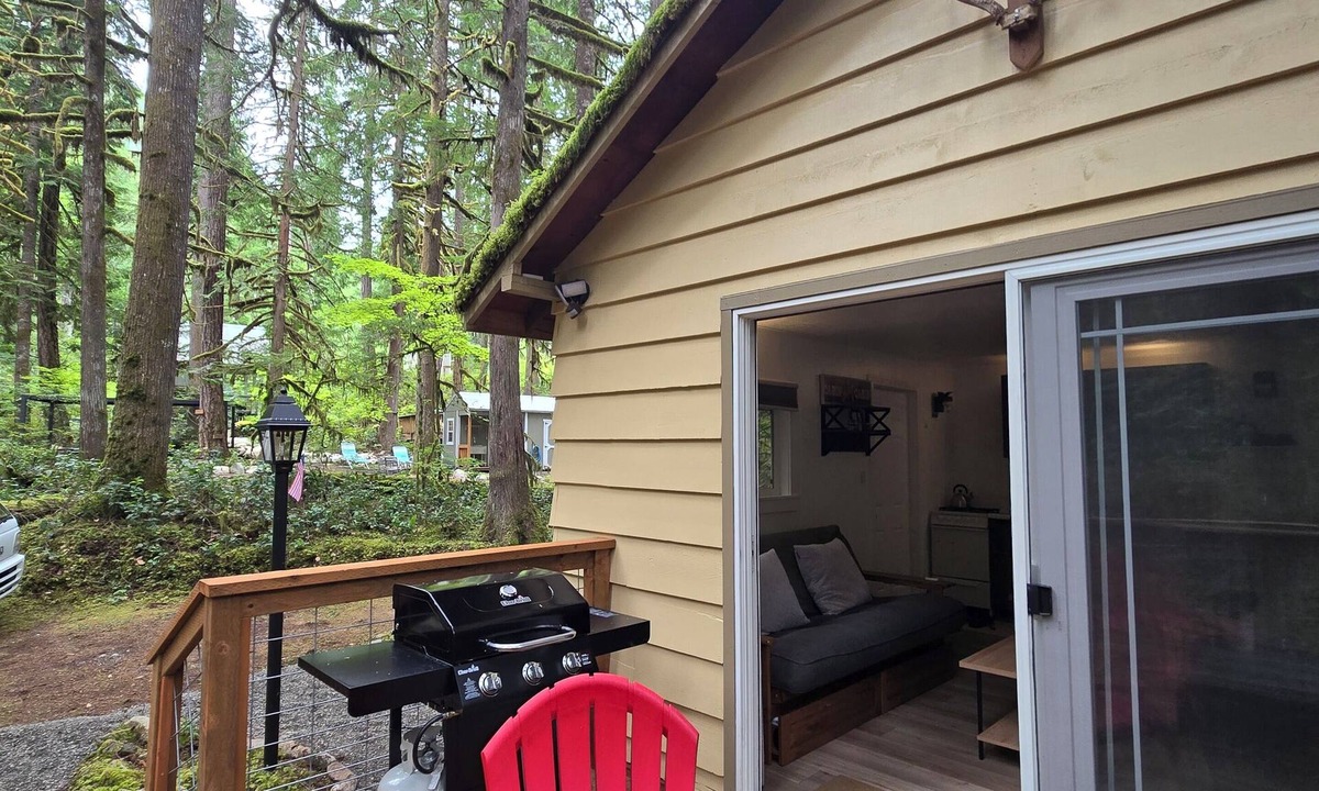 Marblemount Cabin | Moss Top Cabin: cozy off-grid retreat