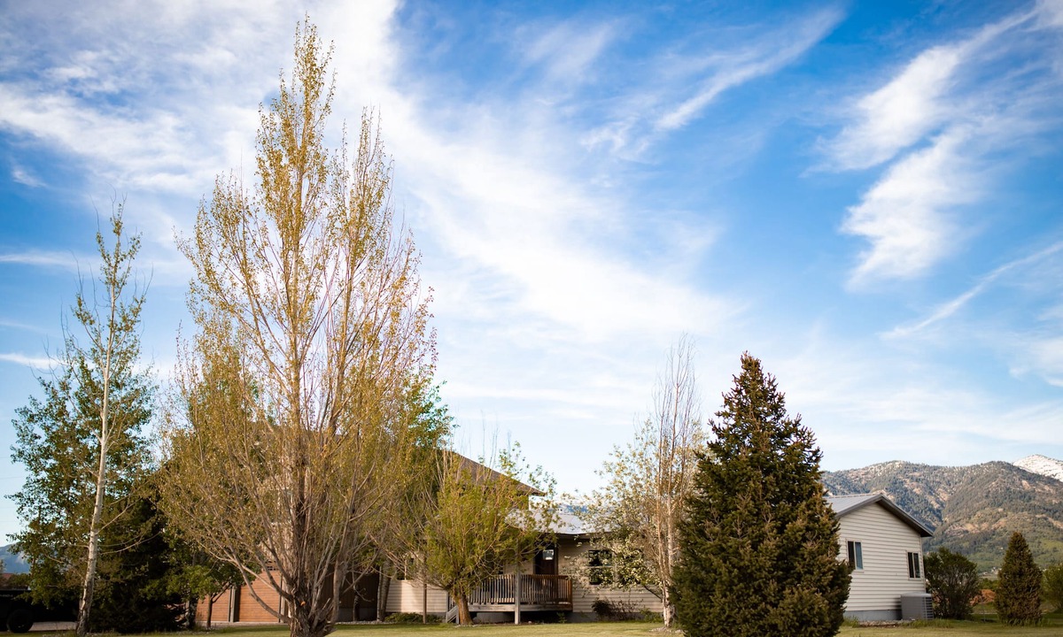 Freedom House | Newly Remodeled w/Hot Tub 50 Minutes from Parks!