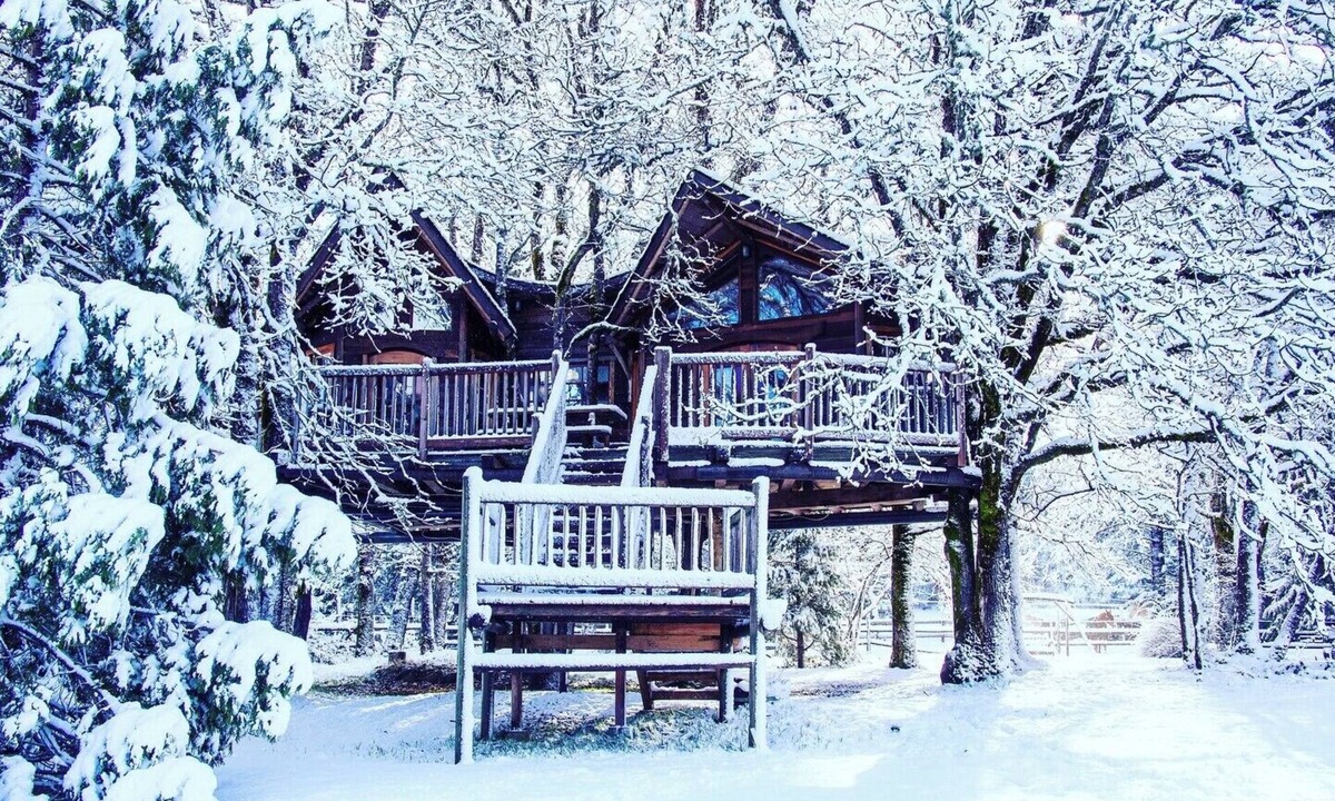 Cave Junction House | Out 'N' About Treehouse Treesort