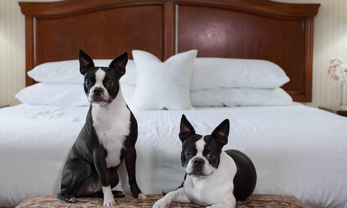 Medford Apartment | Pet-Friendly Queen Room w/Free Breakfast | Nr MFR