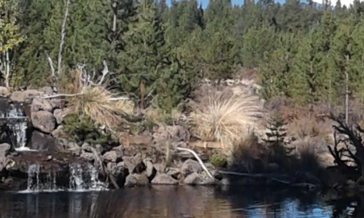 Three Rivers House | Ponderosa Paradise with a million dollar view