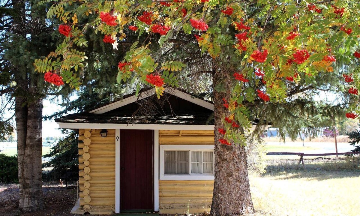 Ashton Cabin | Quaint Log Cabin for Two near Henry's Fork for an Unforgettable Getaway in Ashton, Idaho