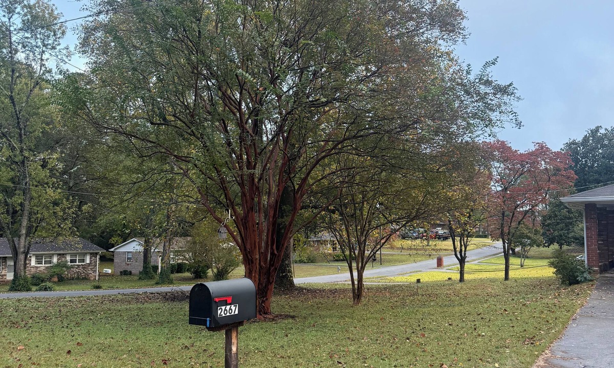 Marietta House | Quiet Rustic Scape, Large Yard, Sleep 8 Near ATL