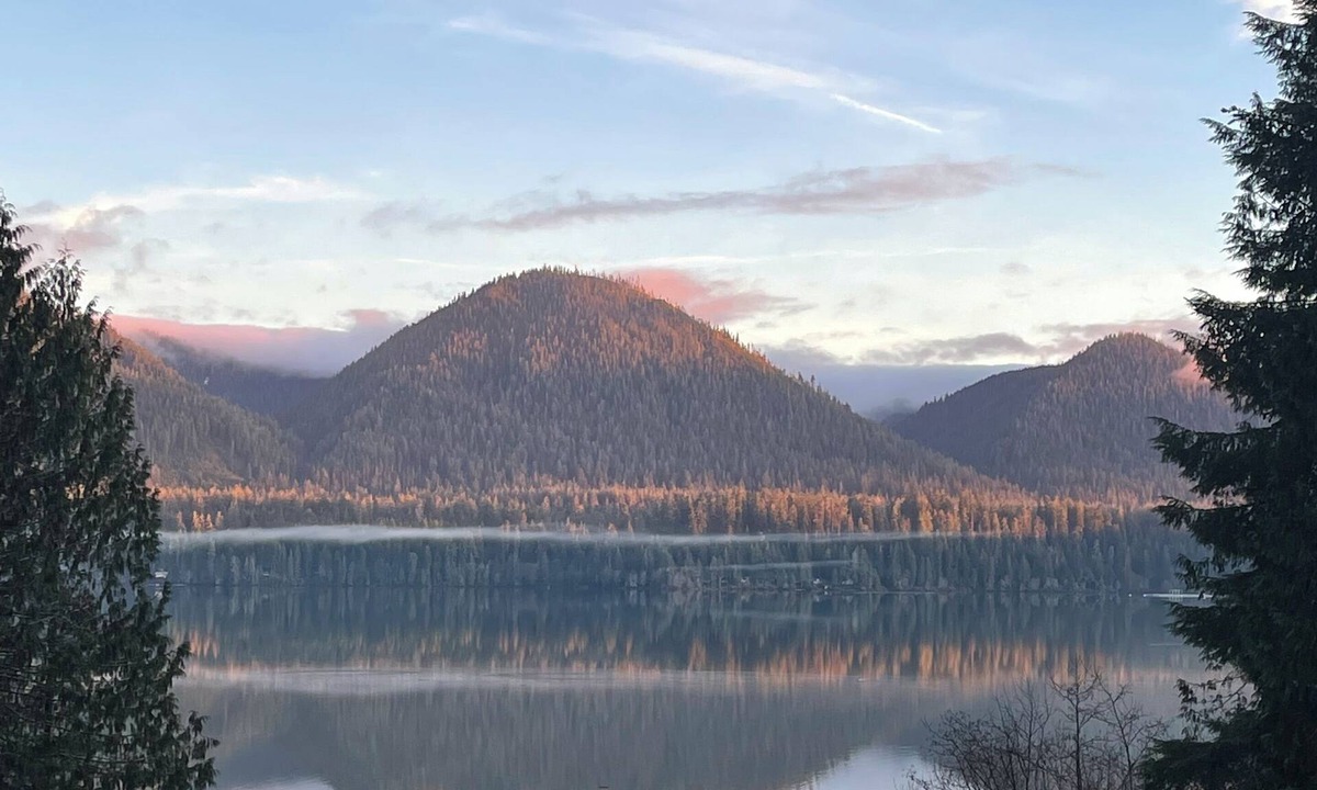 Amanda Park Cabin | Quinault Cove- Two Cabin Property on Quiet Lake Quinault