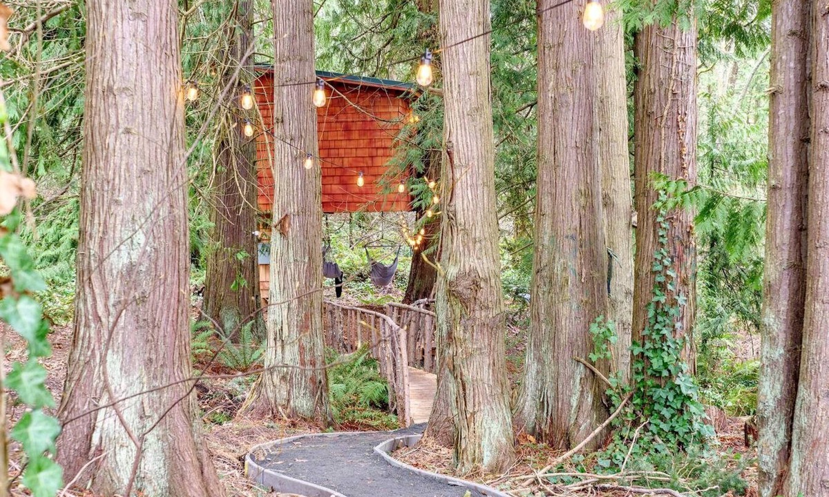 Bell Hill Cabin | Relaxing Tree House in Sequim, Washington, Perfect for a Glamping Getaway to Olympic National Park