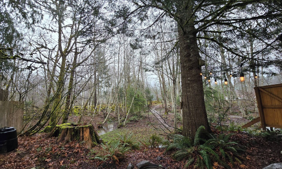 Packwood Cabin | Riverside Cabin Near Mt Rainier & White Pass - Packwood - AC - EV Plug