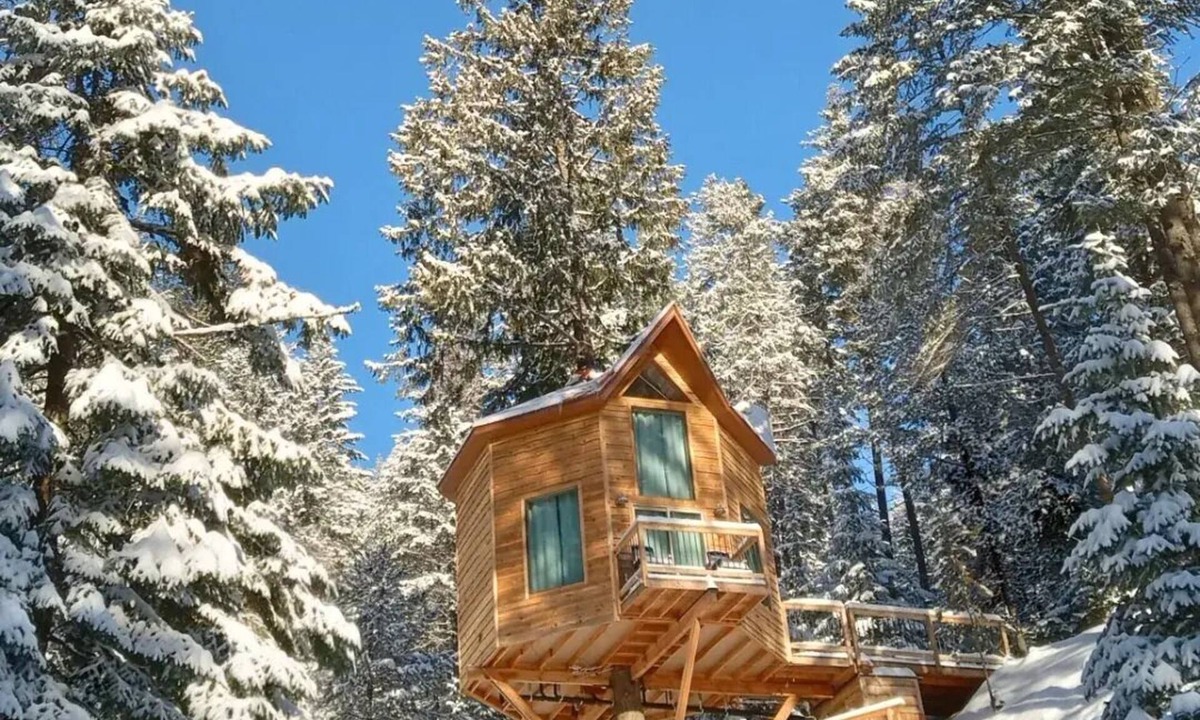 Newport Apartment | Romantic Treehouse Getaway with Peaceful Mountain Views!