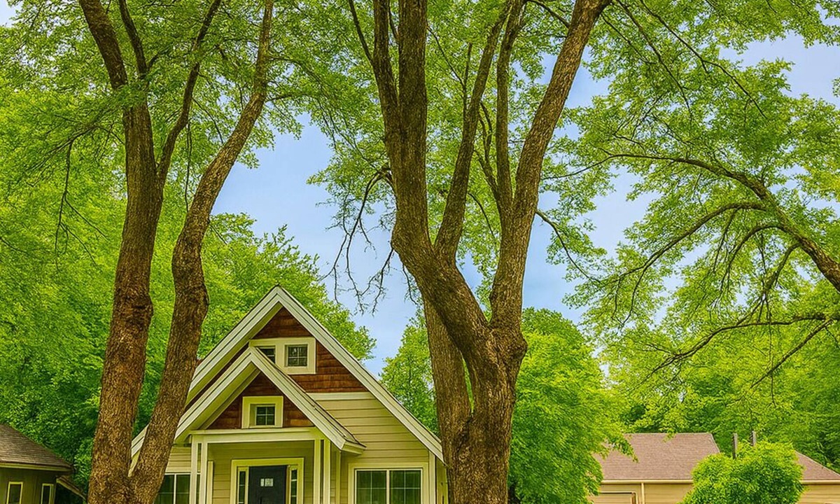 Sandpoint House | Sandpoint Oasis, Walk to Town/Lake, Pet Friendly Paradise