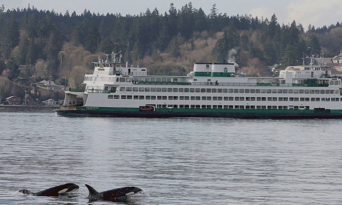 Southworth House | Seattle is a ferry ride away. Walk or Drive on and be in Seattle in 20 minutes