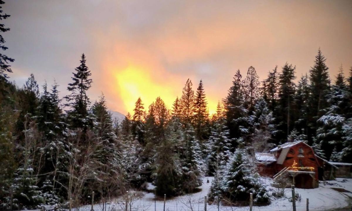 Clark Fork Cabin | Secluded Cozy Log Cabin
