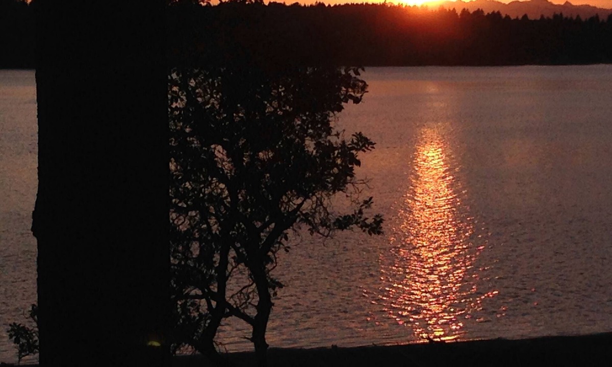 Lakebay House | Secret Island Getaway- Private Beach, Boats, Kayaks & guest only Seafood Farm