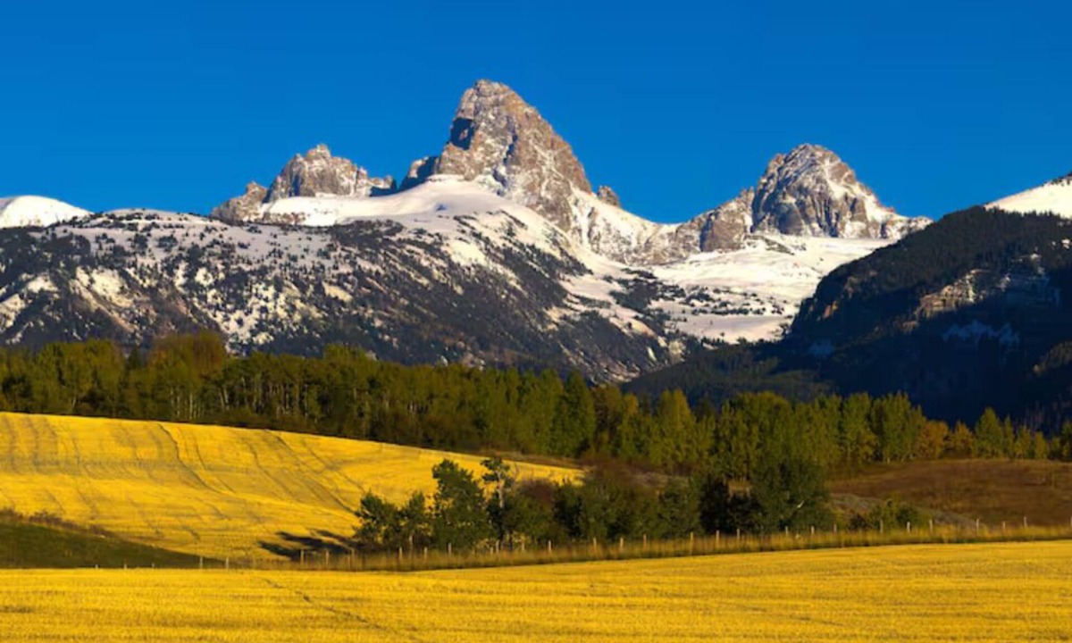 Victor House | StayGK Teton Springs – Cozy Condo w/Patio & Grill