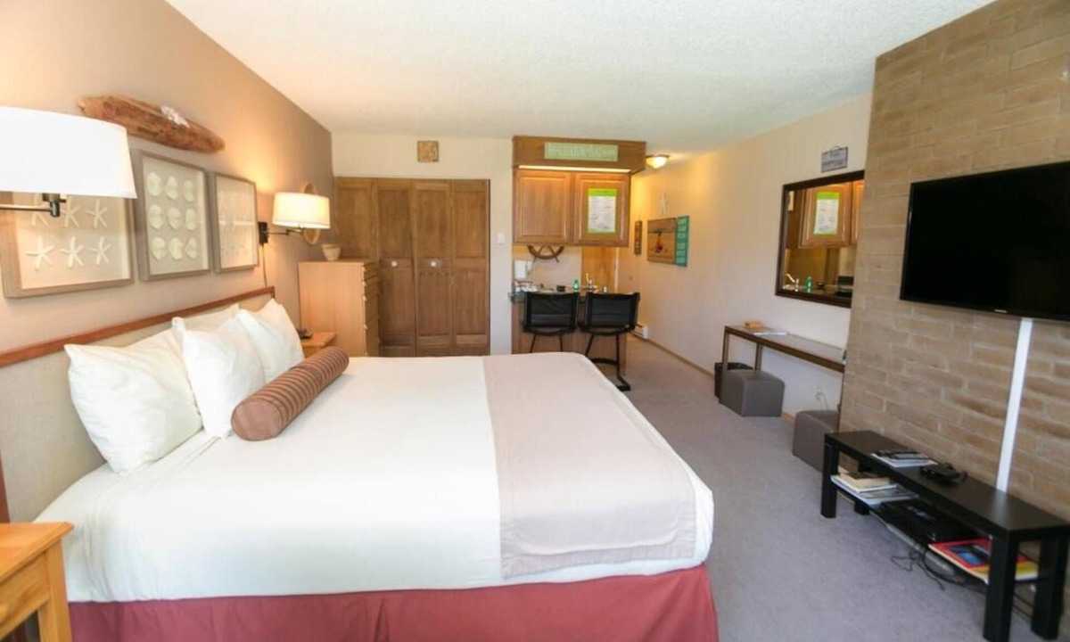 Ocean Shores Apartment | Studio Unit-Room 111