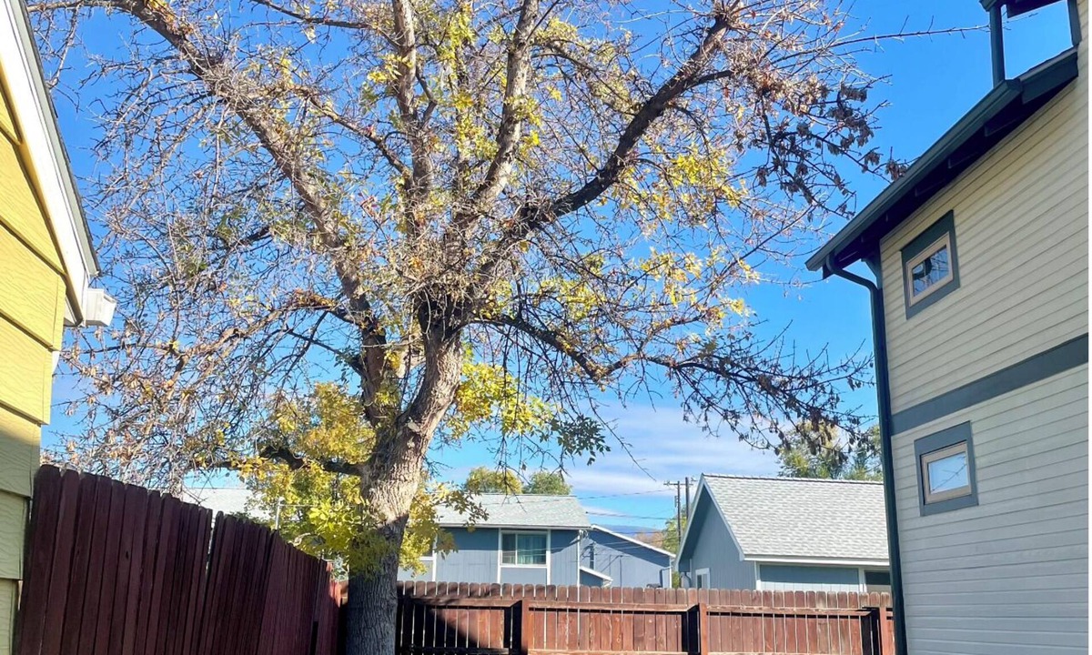 Rose Park Apartment | Sunkissed 2-bedroom in Missoula with private patio and fenced yard