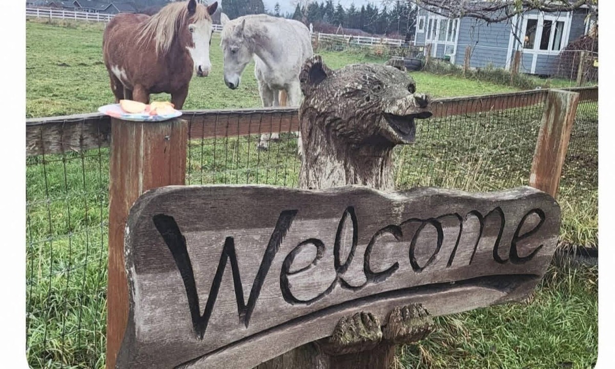 Sequim House | Sunny Farm Stay Horses & Chickens On the ODT
