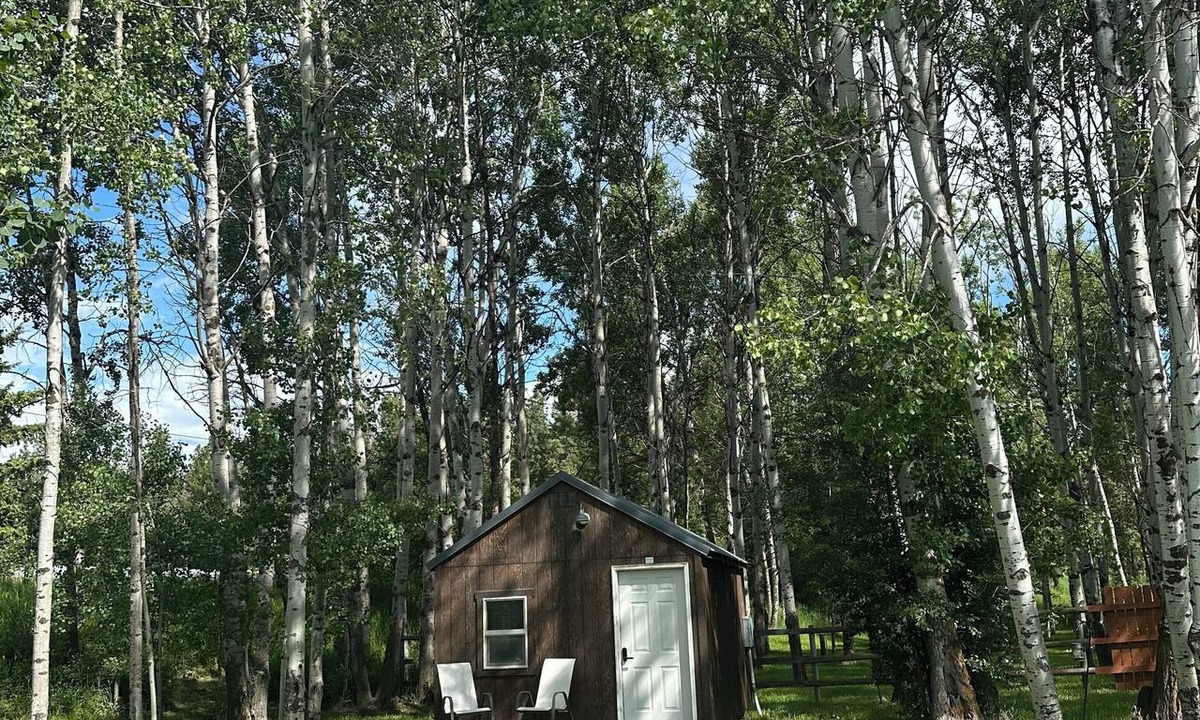 Kalispell Cabin | The Aspen Abode - Cozy 1-bedroom cabin in peaceful Kalispell with AC