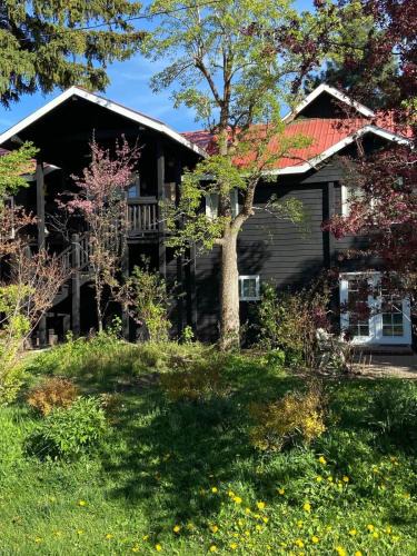 Hailey Bed & Breakfast | The Dandelion SV-Floret. B&B, Reimagined